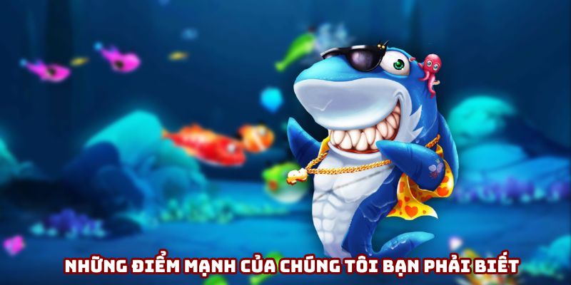 Những điểm mạnh của chúng tôi bạn phải biết Những điểm mạnh của chúng tôi bạn phải biết