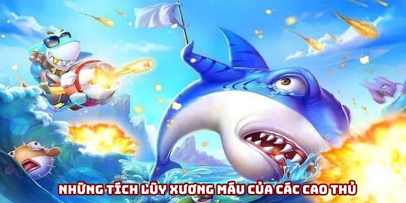 Những tích lũy xương máu của các cao thủ