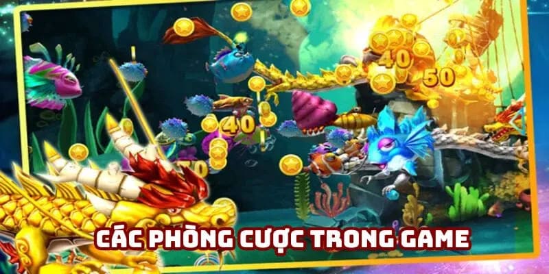 Các phòng cược trong game Các phòng cược trong game