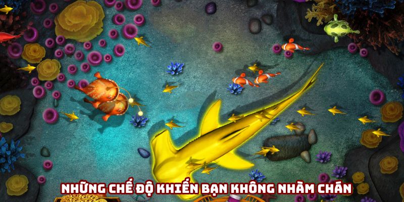Những chế độ khiến bạn không nhàm chán Những chế độ khiến bạn không nhàm chán