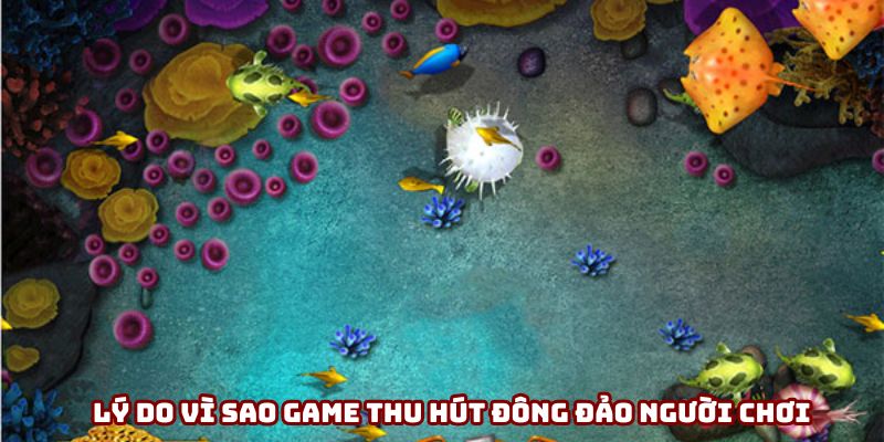 Lý do vì sao game thu hút đông đảo người chơi Lý do vì sao game thu hút đông đảo người chơi