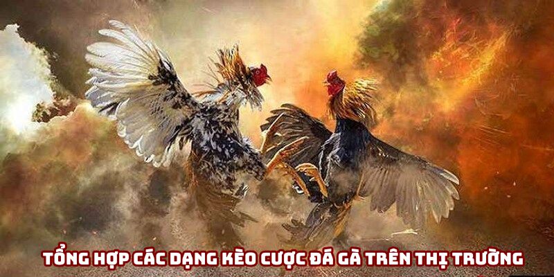 Tổng hợp các dạng kèo cược đá gà trên thị trường