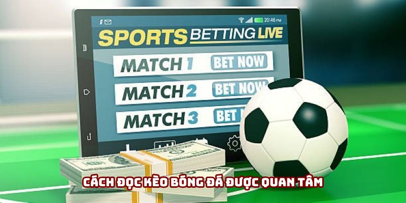 Cách đọc kèo bóng đá được quan tâm
