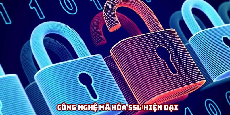 Có mã hóa SSL yên tâm dữ liệu an toàn Có mã hóa SSL yên tâm dữ liệu an toàn
