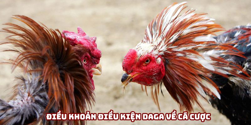 Nắm điều khoản điều kiện cá cược để không sai phạm Nắm điều khoản điều kiện cá cược để không sai phạm