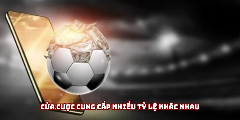 Cửa cược cung cấp nhiều tỷ lệ khác nhau