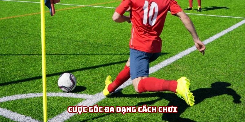 Cược góc đa dạng cách chơi