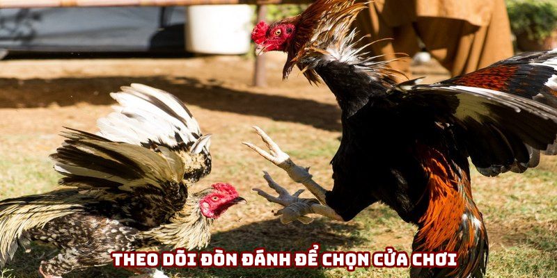 Chú ý đòn đánh để mạnh dạn chọn con dễ thắng trận
