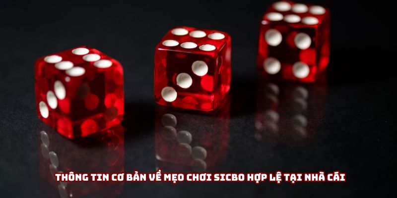Thông tin cơ bản về mẹo chơi sicbo hợp lệ tại nhà cái