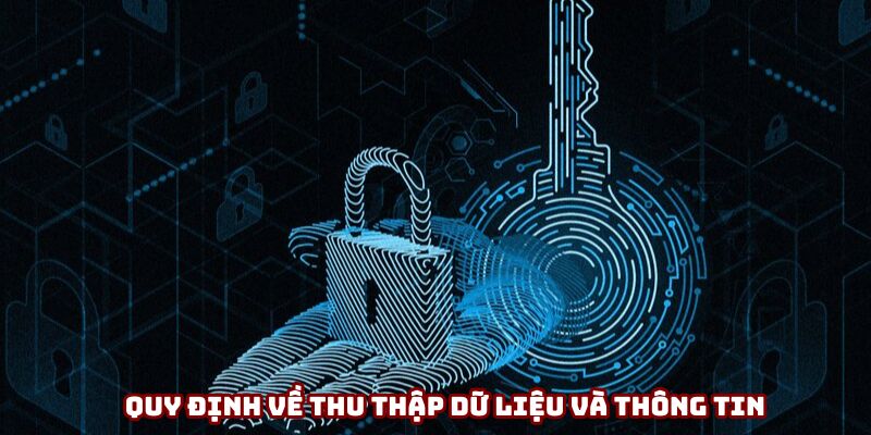 Quy định cụ thể về thu thập dữ liệu và thông tin Quy định cụ thể về thu thập dữ liệu và thông tin