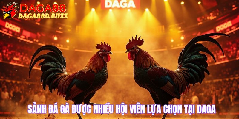 Sảnh đá gà được nhiều hội viên lựa chọn tại DAGA