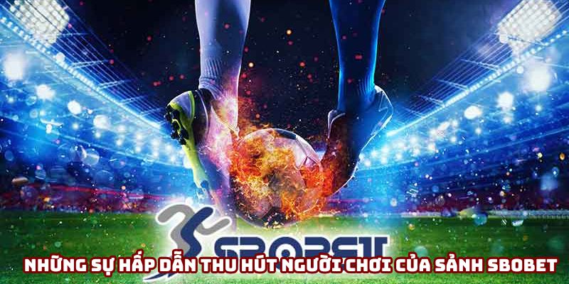 Những sự hấp dẫn thu hút người chơi của sảnh SBOBET